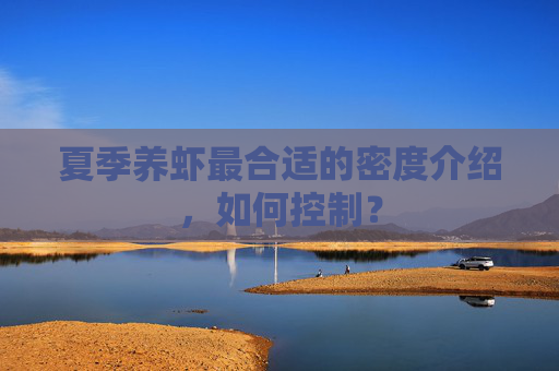 夏季养虾最合适的密度介绍，如何控制？