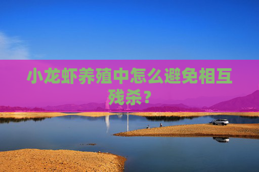 小龙虾养殖中怎么避免相互残杀？