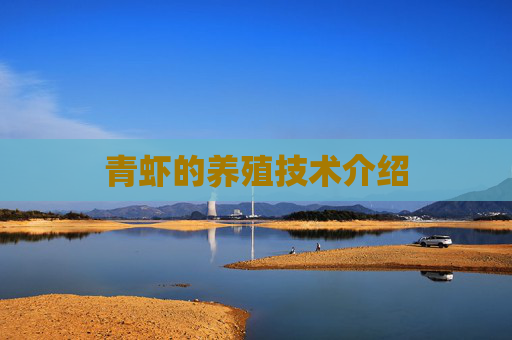 青虾的养殖技术介绍
