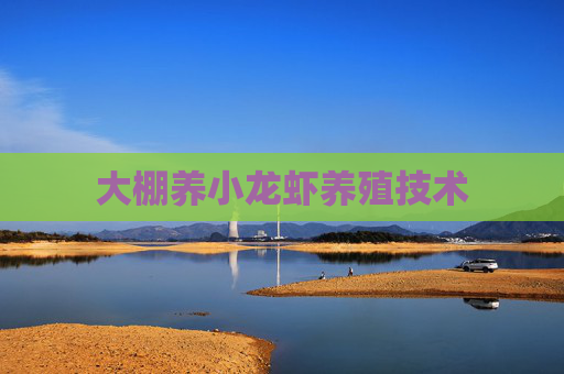 大棚养小龙虾养殖技术