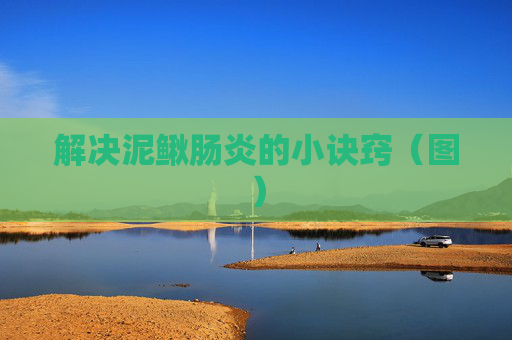 解决泥鳅肠炎的小诀窍（图）