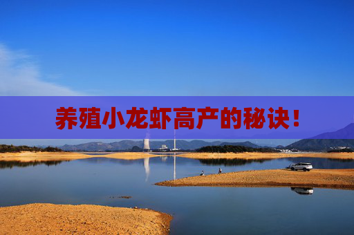 养殖小龙虾高产的秘诀！