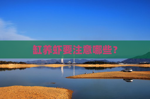 缸养虾要注意哪些？