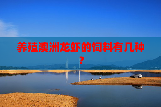 养殖澳洲龙虾的饲料有几种？