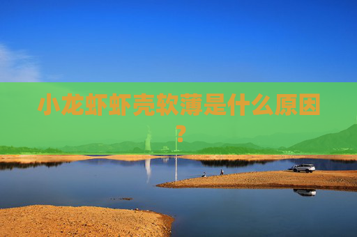 小龙虾虾壳软薄是什么原因？