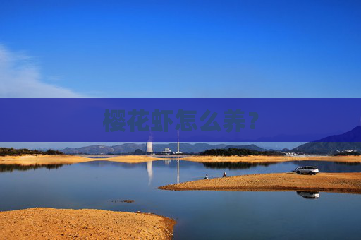 樱花虾怎么养？