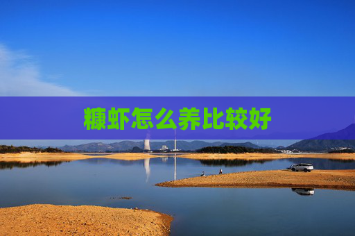 糠虾怎么养比较好