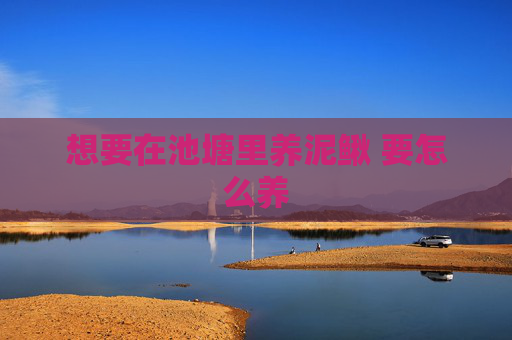 想要在池塘里养泥鳅 要怎么养