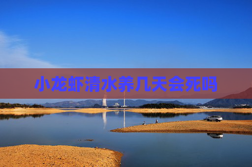 小龙虾清水养几天会死吗
