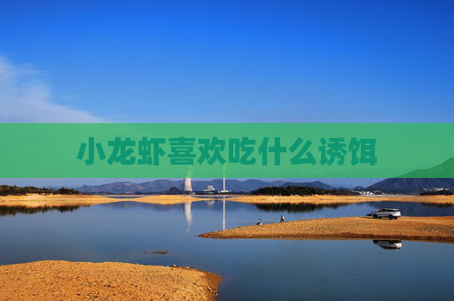 小龙虾喜欢吃什么诱饵