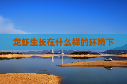 龙虾生长在什么样的环境下