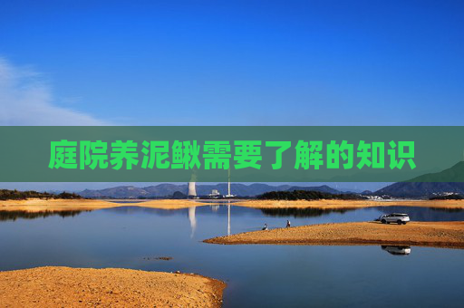 庭院养泥鳅需要了解的知识