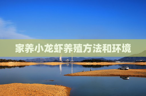 家养小龙虾养殖方法和环境