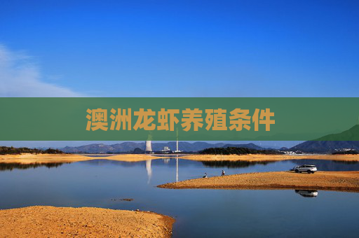 澳洲龙虾养殖条件