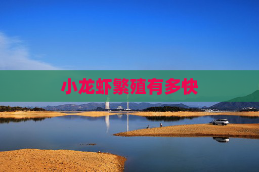 小龙虾繁殖有多快