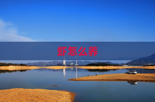 虾怎么养