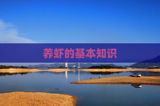 养虾的基本知识