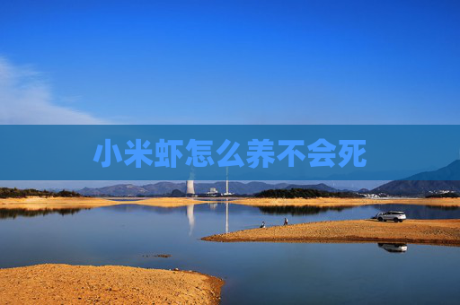 小米虾怎么养不会死