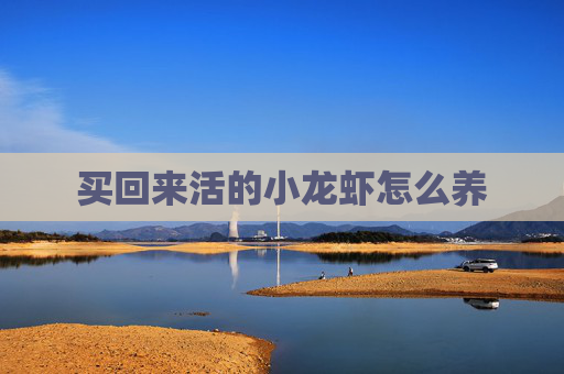 买回来活的小龙虾怎么养
