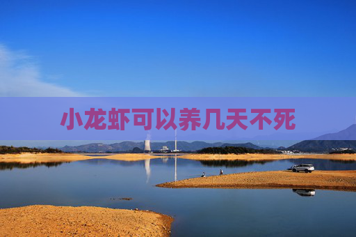 小龙虾可以养几天不死