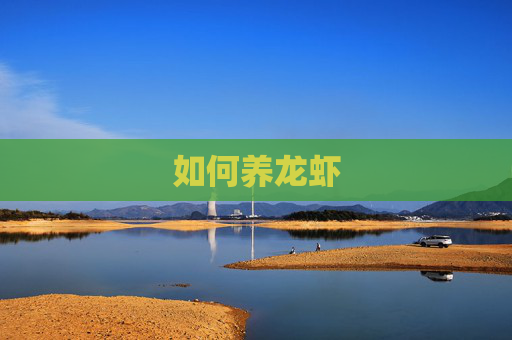 如何养龙虾