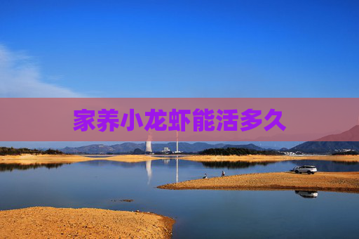 家养小龙虾能活多久
