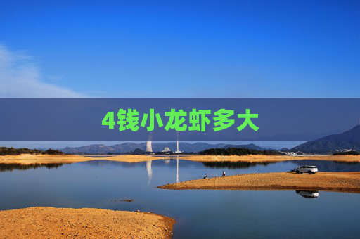 4钱小龙虾多大