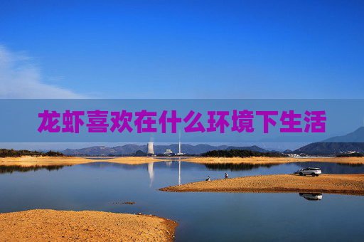 龙虾喜欢在什么环境下生活