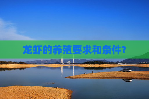 龙虾的养殖要求和条件?