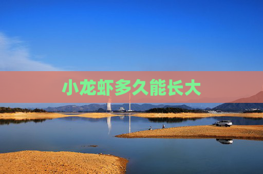 小龙虾多久能长大