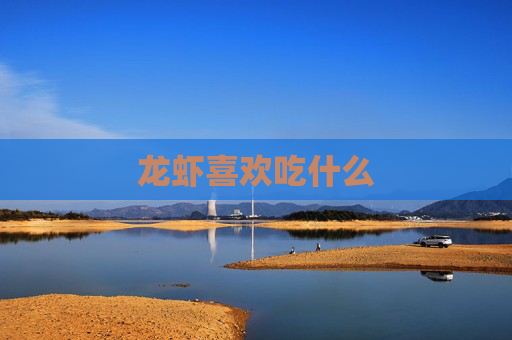 龙虾喜欢吃什么