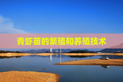 青虾苗的繁殖和养殖技术