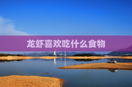 龙虾喜欢吃什么食物