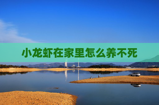 小龙虾在家里怎么养不死