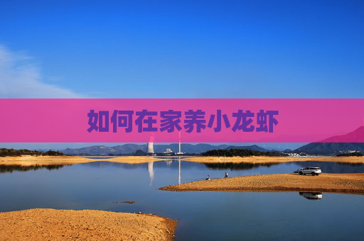 如何在家养小龙虾