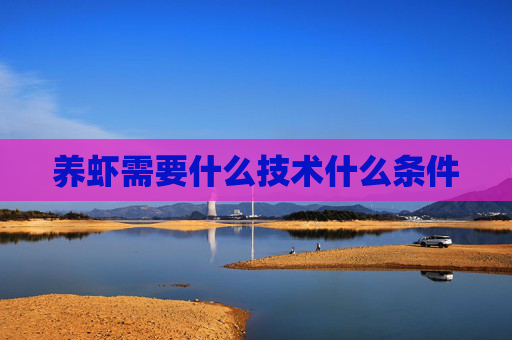 养虾需要什么技术什么条件