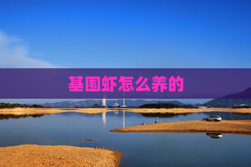 基围虾怎么养的