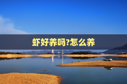 虾好养吗?怎么养