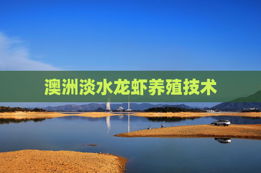 澳洲淡水龙虾养殖技术
