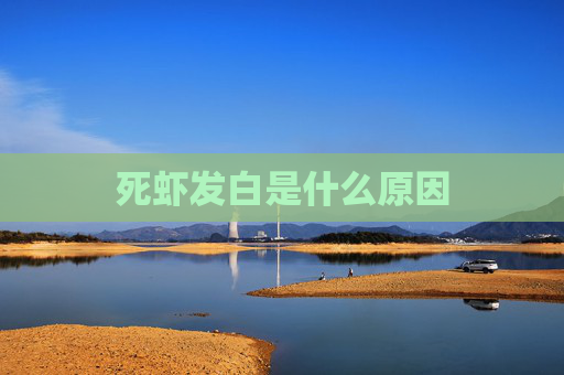 死虾发白是什么原因