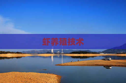 虾养殖技术