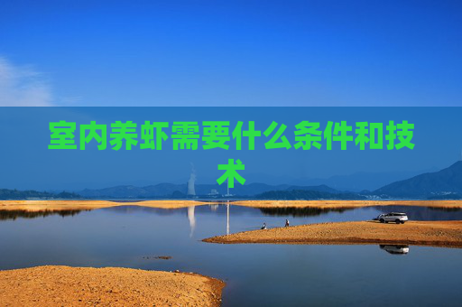 室内养虾需要什么条件和技术