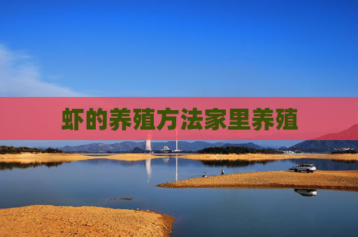 虾的养殖方法家里养殖