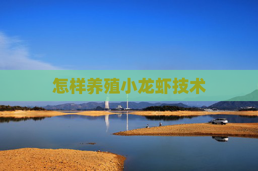 怎样养殖小龙虾技术