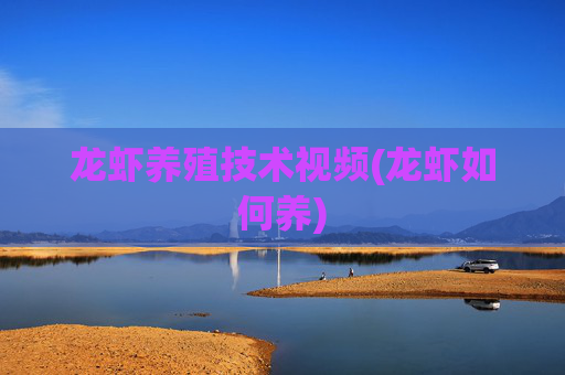 龙虾养殖技术视频(龙虾如何养)