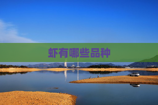 虾有哪些品种