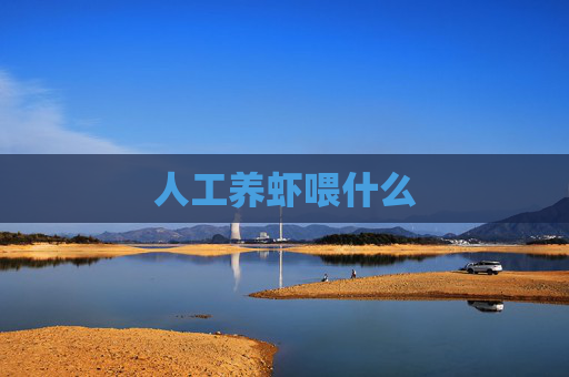 人工养虾喂什么