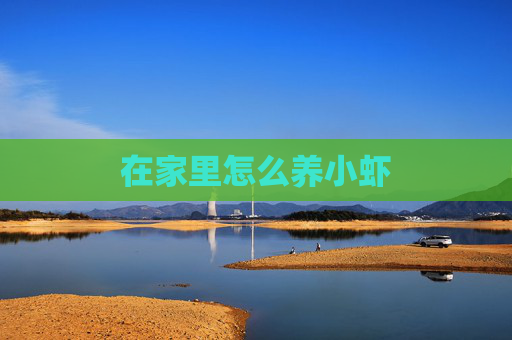 在家里怎么养小虾