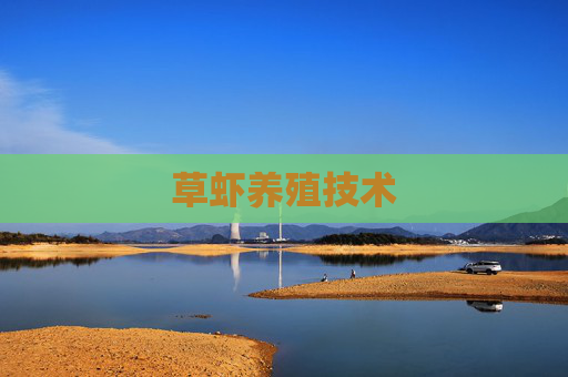 草虾养殖技术