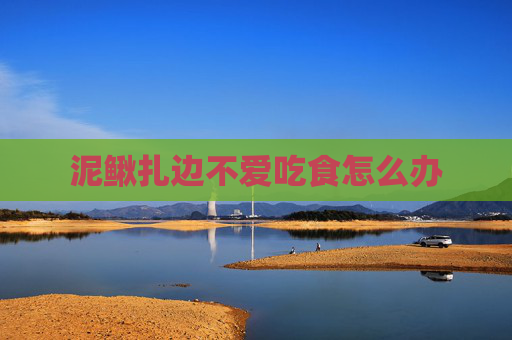 泥鳅扎边不爱吃食怎么办